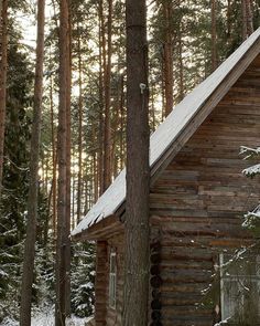 a log cabin in the woods with snow on the roof and trees around it's edge