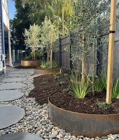 an outdoor garden with various plants and rocks