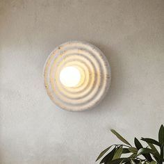 a round light fixture mounted on the side of a wall next to a potted plant