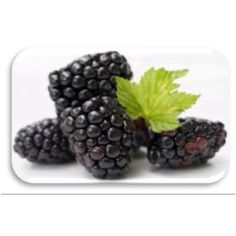 blackberries with green leaves on white background