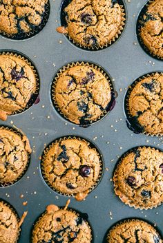 blueberry muffins in a baking pan ready to be eaten