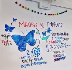 a white board with blue butterflies and the words mimos & merios written on it