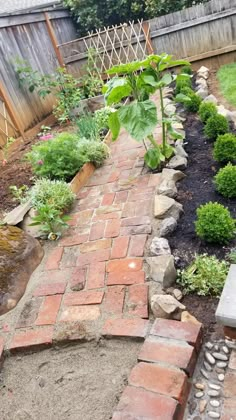 a brick path in the middle of a garden