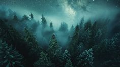 Early Night Scenic Forest with Stars and Milky Way Dreamy Colors, Early Night, Inspirational Digital Art, Night Sky Wallpaper, Night Forest, Scenic View, Table Makeover, The Milky Way, Night Painting