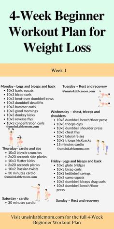 Beginner Workout Plan Concentration Curls, Dumbbell Shoulder Press, Good Morning Wednesday, Hammer Curls, Workout Plan For Beginners, Flutter Kicks, Donkey Kicks, Bicycle Crunches, Lateral Raises