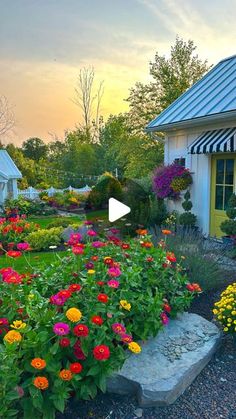 the garden is full of colorful flowers and plants