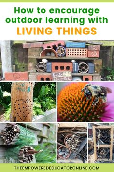 an outdoor learning with living things