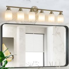 a bathroom mirror with four lights and a plant in front of it on the counter