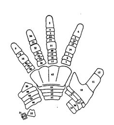 an image of a hand that has numbers on it and two fingers in the middle