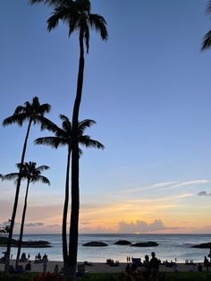 palm trees are silhouetted against the blue sky as people sit on the beach at sunset