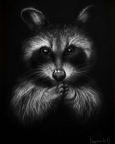 animal pastel drawing White Pencil Drawing On Black Paper, Scratch Art Designs, Black Paper Drawings, Charcoal Animals, White On Black Drawing, Scratch Board Art, Drawings On Black Paper, Scratchboard Animals, Scratchboard Drawings