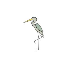 a bird with a long beak standing on one leg