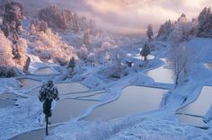 a snowy landscape with trees and water in the foreground