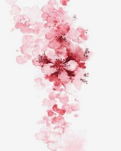 pink flowers are floating in the air on a white background