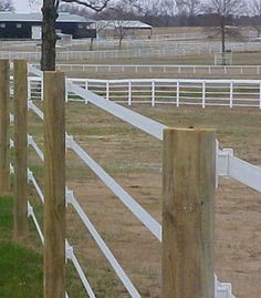 a fenced in area with grass and trees next to a white horse pen on the other side