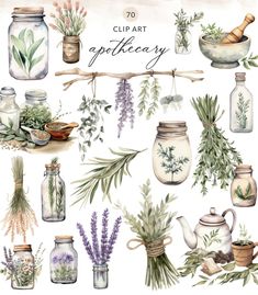 watercolor clip art with herbs and jars