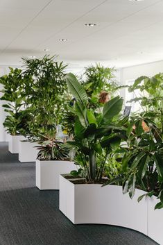 there are many plants in the planters on this office building's walls and floor