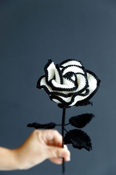 a hand holding a black and white rose