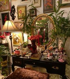 a living room filled with furniture and lots of plants