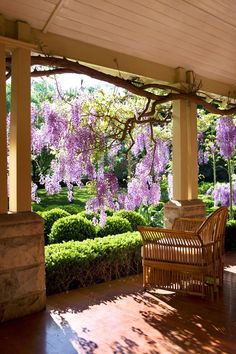 a wicker bench sitting under a pergolated covered porch with purple flowers on it