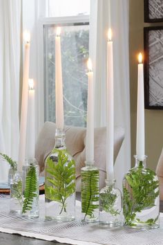 candles and plants in glass bottles on a table