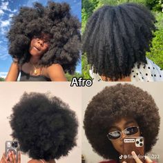 Mushroom Bob, 2024 Hair Trends For Women, 2024 Hair Trends, Really Curly Hair, Natural Afro, Natural Afro Hairstyles