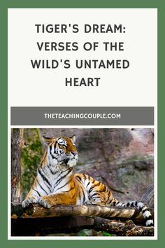 a tiger sitting on top of a tree branch with the caption tiger's dream verses of the wild's untamed heart