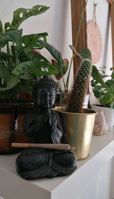 there are plants and buddha statues on the shelf