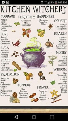 Homemade Garden, Kitchen Witchery, Wiccan Witch, Witch Spell Book, Witch Spell, Herbal Magic, Baby Witch, Witch Magic