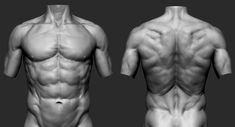 the front and back view of a man's torso