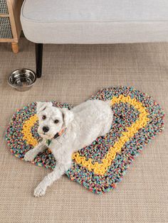 a white dog laying on top of a rug