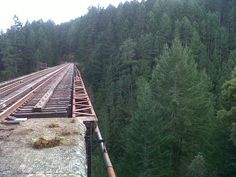 an old train track in the middle of some trees