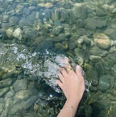 a person's hand reaching for something in the water near some rocks and grass