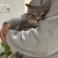 a man holding a cat in his arms while standing next to a potted plant