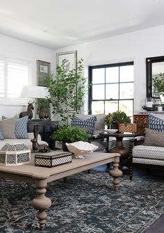 a living room filled with lots of furniture and plants on top of a coffee table