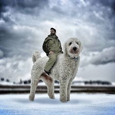 a man riding on the back of a white poodle dog in front of a cloudy sky