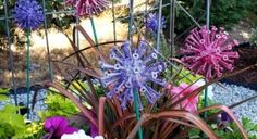 purple and white flowers are in a garden