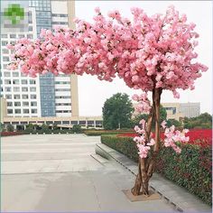 pink flowers are growing on the top of a tall tree in front of a building