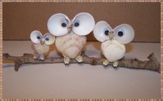 three seashells sitting on top of a branch with one shell in the shape of an owl