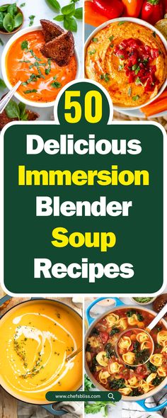 the cover of 50 delicious immersion blender soup recipes