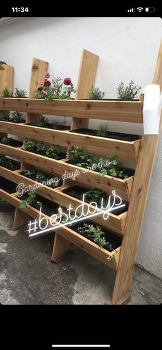 several wooden planters with plants growing in them