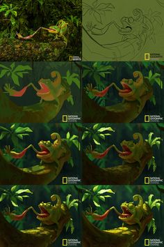 various images of different animals in the jungle