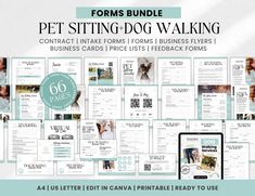 the ultimate pet sitting dog walking guide