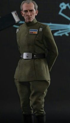 a man in uniform is standing with his hands on his hips