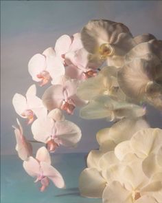 some white and pink flowers on a table