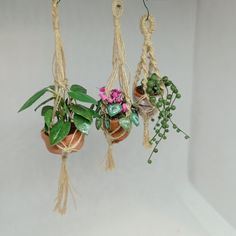 three hanging planters filled with plants and flowers on twine cords, one pink flower in the center