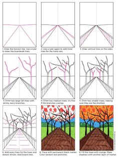 how to draw trees in different stages of the day and night with this step - by - step drawing lesson