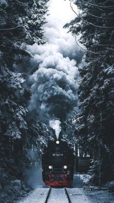 a train traveling through a forest filled with snow covered trees and steam pouring out of the engine