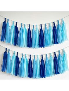 two blue tassels hanging from a string on a white wall next to each other