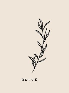 an olive branch with the word olive written in black ink on a light gray background